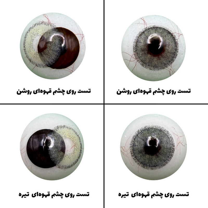 لنز چشم رویال ویژن مدل LEMON SHAPED کد 25 رنگ سبز لیمویی دور دار