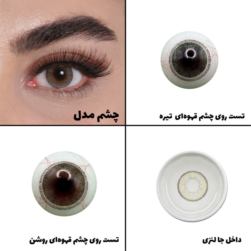 لنز چشم رویال ویژن مدل CITREOUS کد 23 رنگ میکس طوسی عسلی سبز دوردار