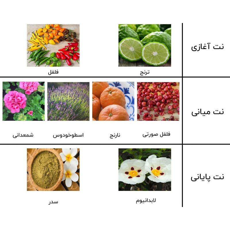 ادو پرفیوم مردانه نیفتی مدل ساواج دیور  حجم 60 میلی لیتر