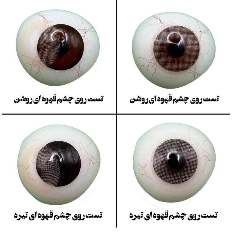لنز چشم هرا گریس تمیم کانتکت لنز مدل LUMINO HAZEL کد 29 رنگ عسلی خاکی روشن بدون دور
