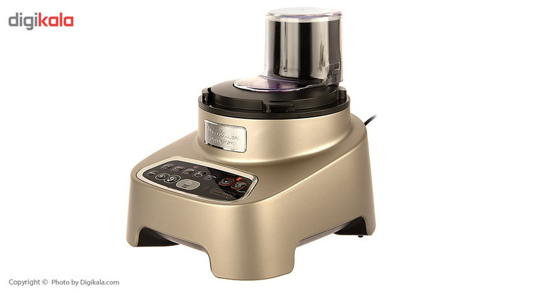 غذاساز مولینکس مدل FP828H10