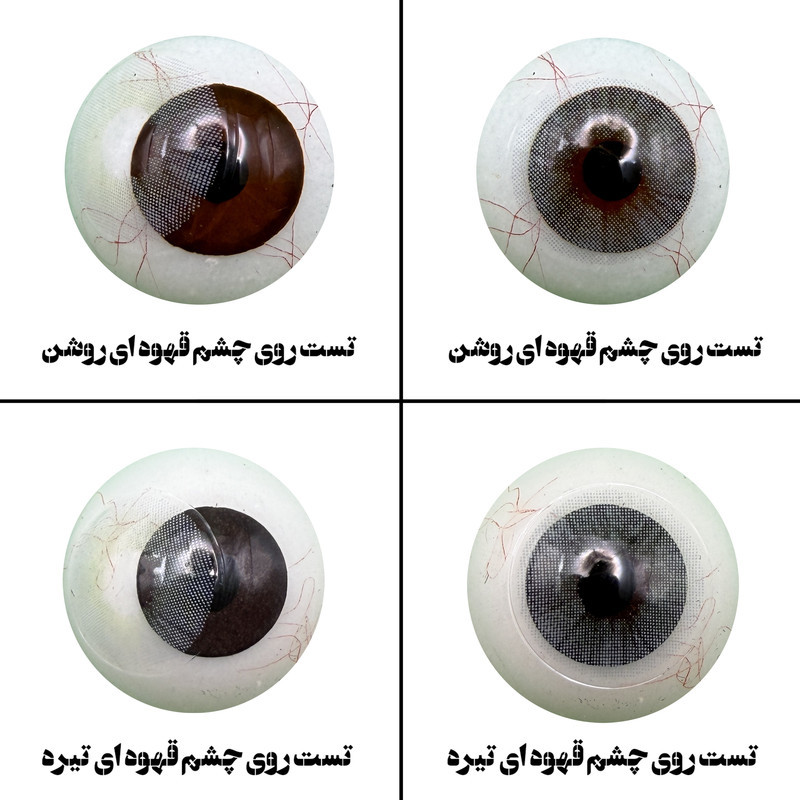 لنز چشم رویال ویژن مدل ADDICT GR کد 4 رنگ طوسی روشن