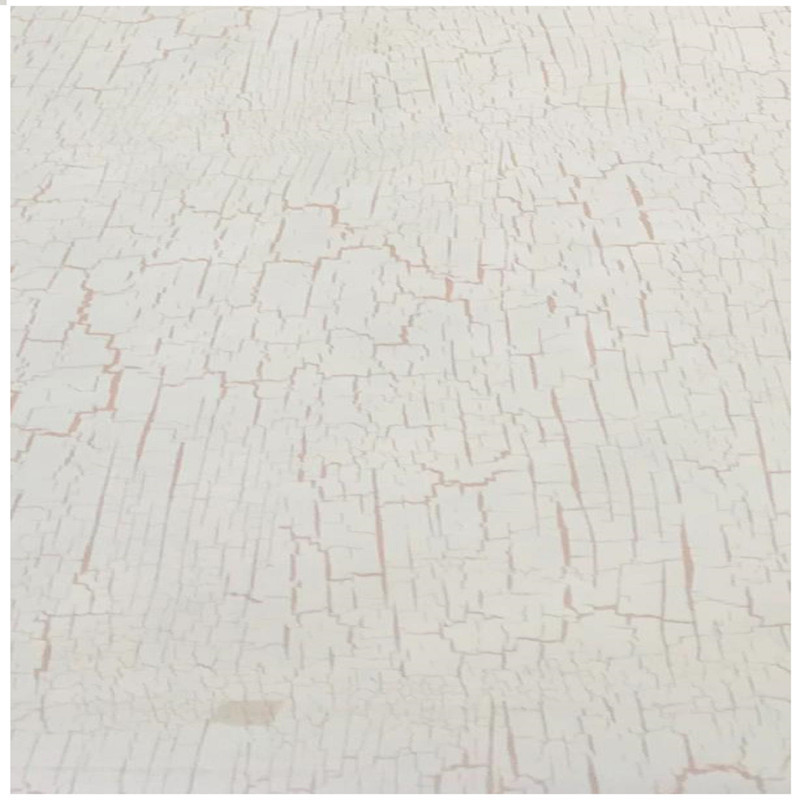 کاغذ دیواری یورک مدل SW 3039