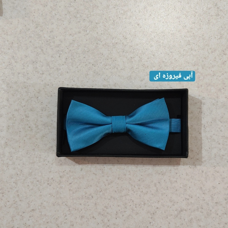 پاپیون مردانه درسمن مدل P22
