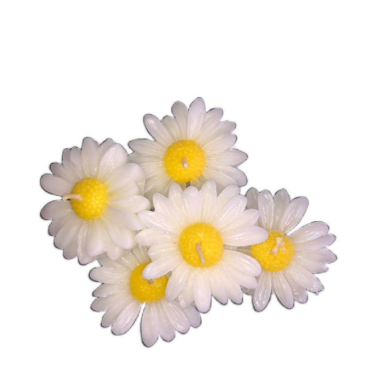 شمع مدل بابونه بسته 5 عددی