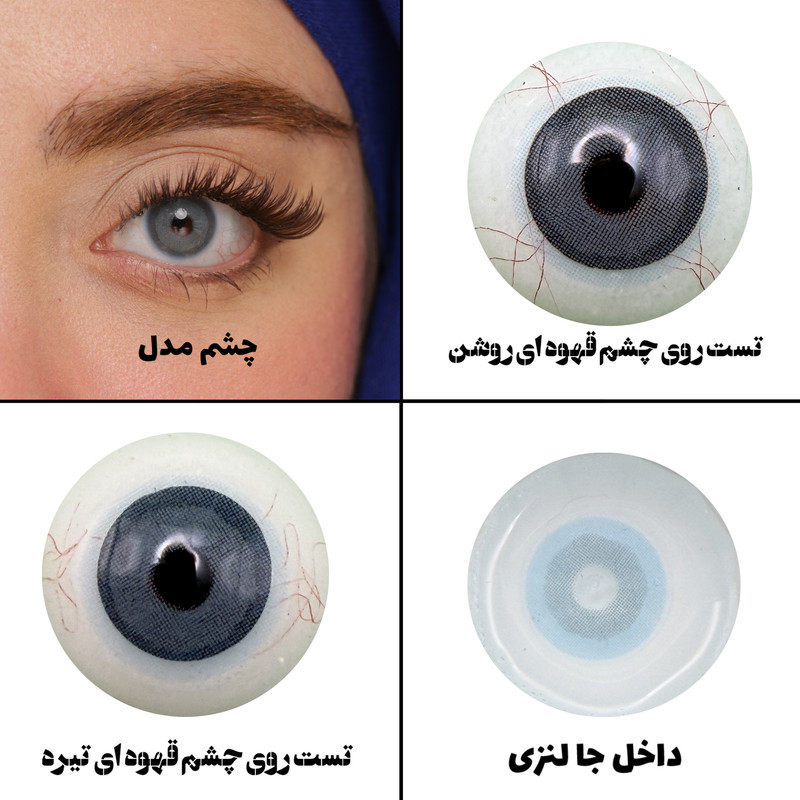 لنز چشم رویال ویژن مدل PIXY BL کد 40 رنگ آبی طبیعی بدون دور