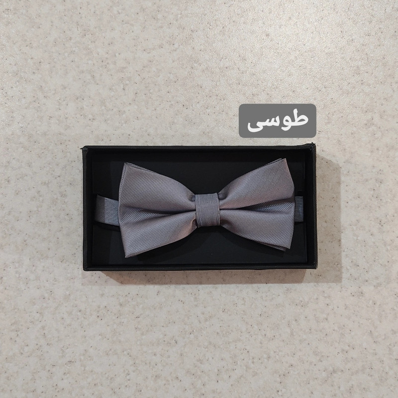 پاپیون مردانه درسمن مدل P22