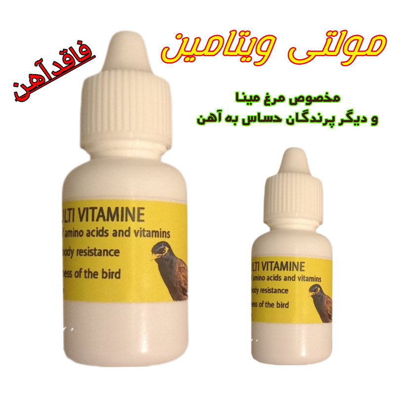 پکیج تقویتی مدل مرغ مینا وزن 35 گرم مجموعه 3 عددی