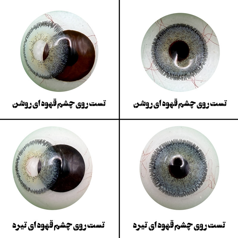 لنز چشم رویال ویژن مدل CAN BL کد 27 رنگ آبی طبیعی دور دار