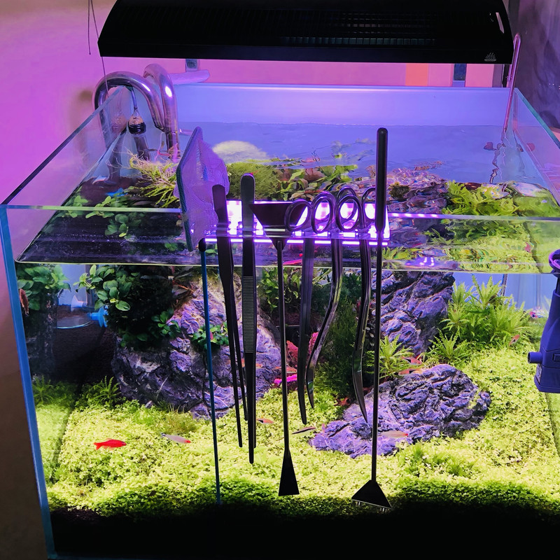 نگهدارنده قیچی و پنس آکواریوم مدل Aqua Land
