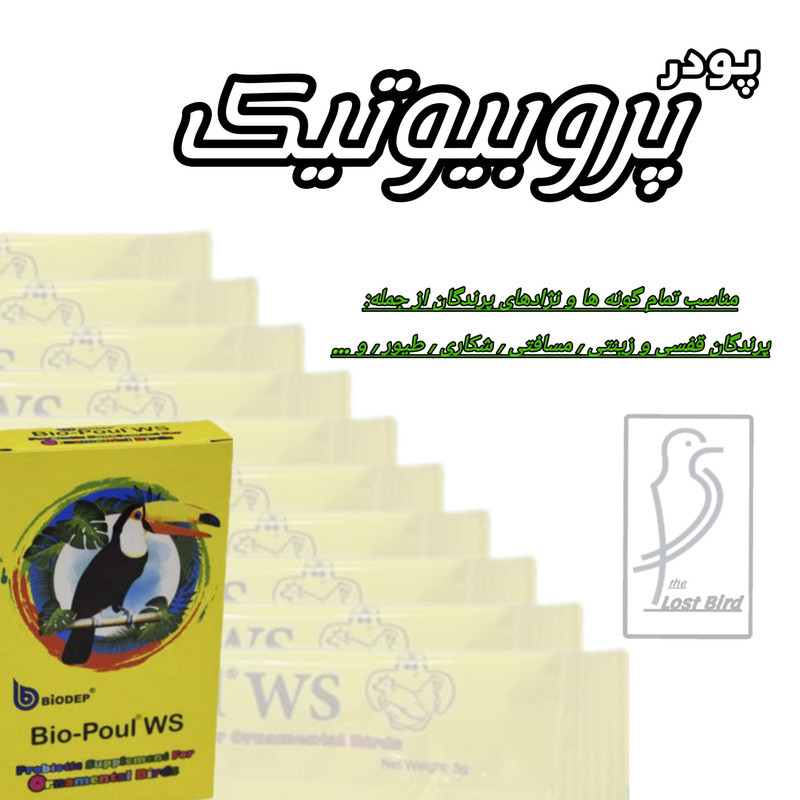 پودر پروبیوتیک پرندگان مدل ساشه کد 8x5gr حجم 40 گرم مجموعه 8 عددی