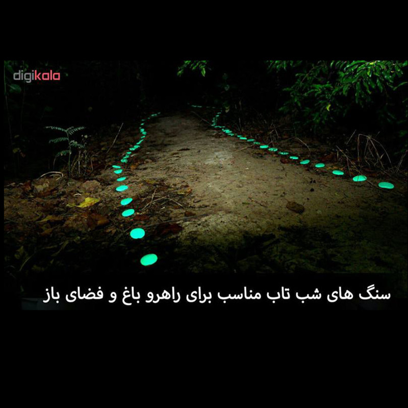 سنگ تزیینی آکواریوم مدل شب تاب بسته 10 عددی