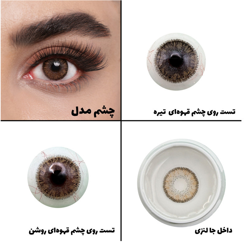 لنز چشم رویال ویژن مدل LUMIRERE HAZEL کد 11 رنگ طوسی عسلی دوردار