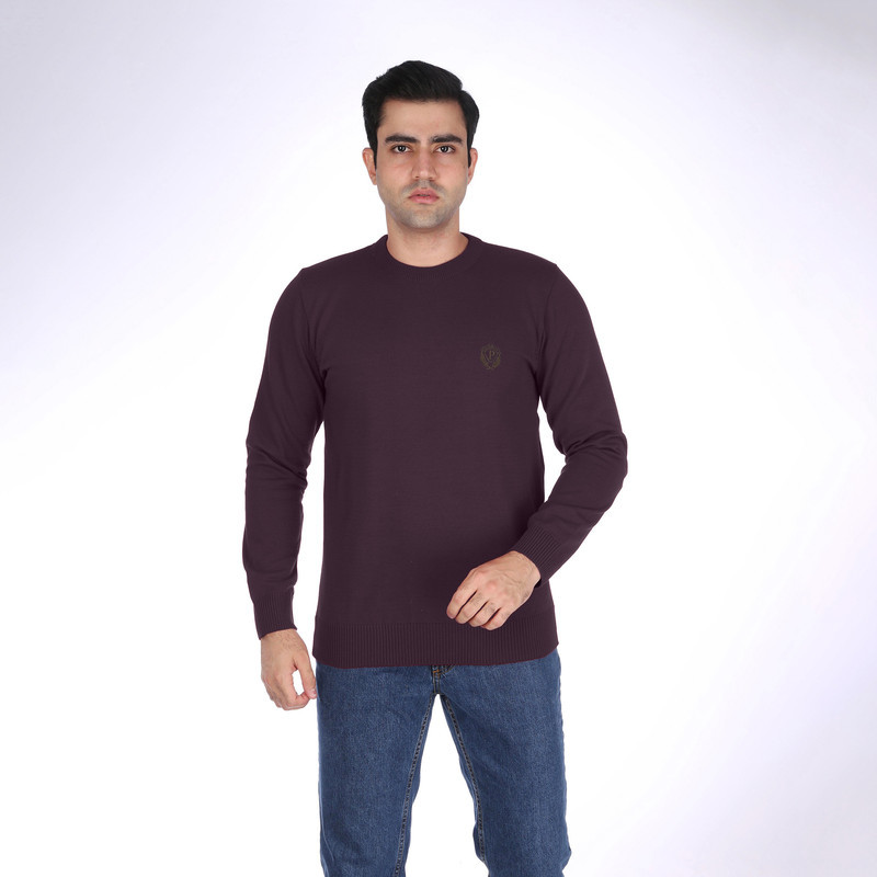 پلیور یقه گرد مردانه تریکو پاییزان مدل  PR700