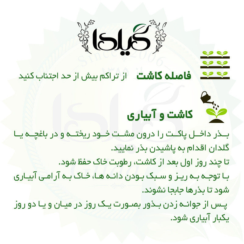 بذر جعفری گیلدا کد 113