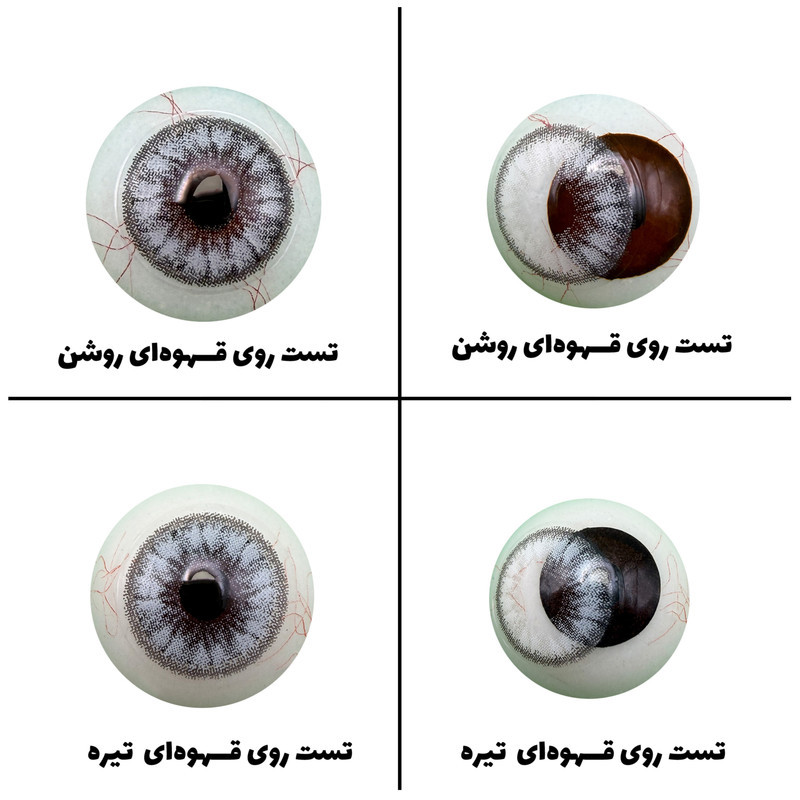 لنز چشم رویال ویژن مدل INNOCENT WHITE کد 06 رنگ طوسی یخی رگه ای دوردار