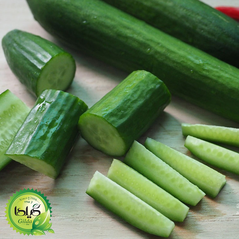 بذر خیار بوته ای آریا گیلدا کد 641