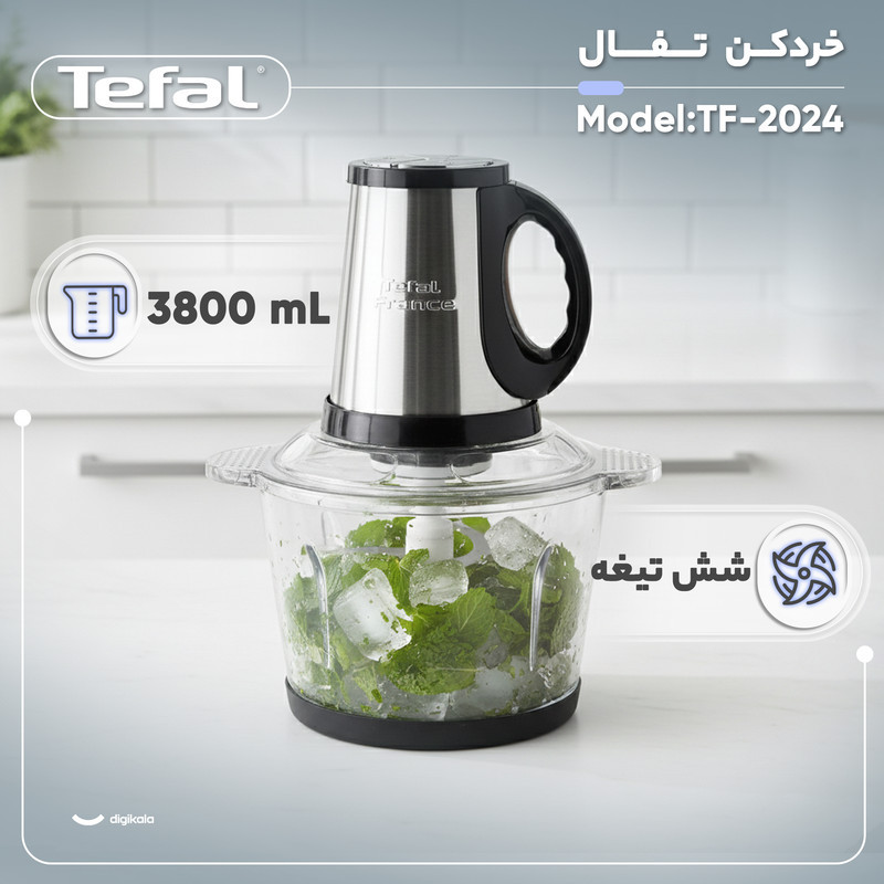خردکن 3800 میلی‌لیتر تفال مدل TF-2024