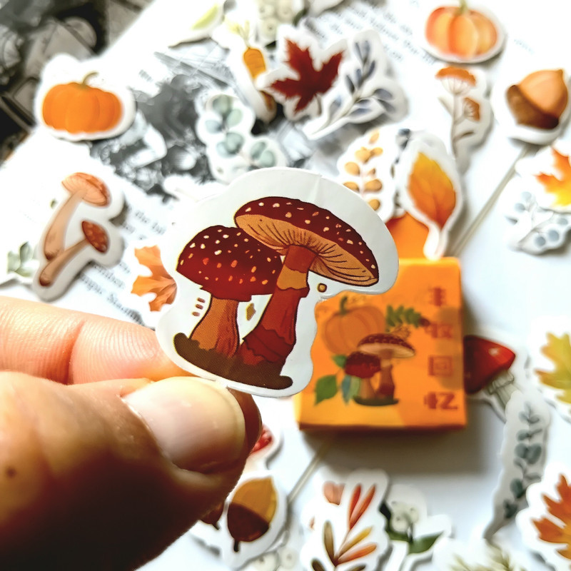 برچسب مدل Autumn Wonderland بسته ۴۵ عددی
