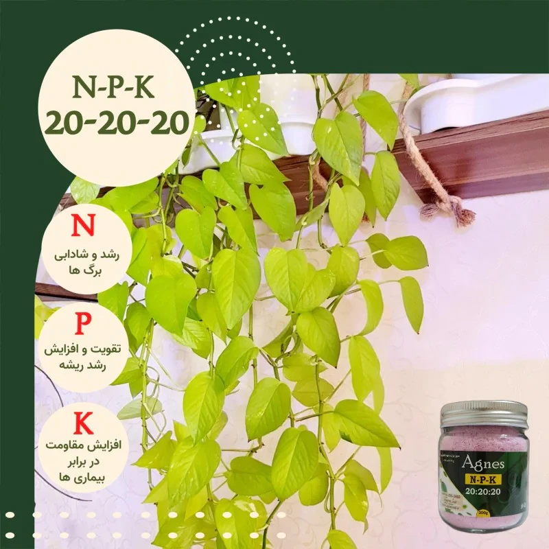 کود NPK 20-20-20 آگنس مدل Ag202020 وزن 200گرم