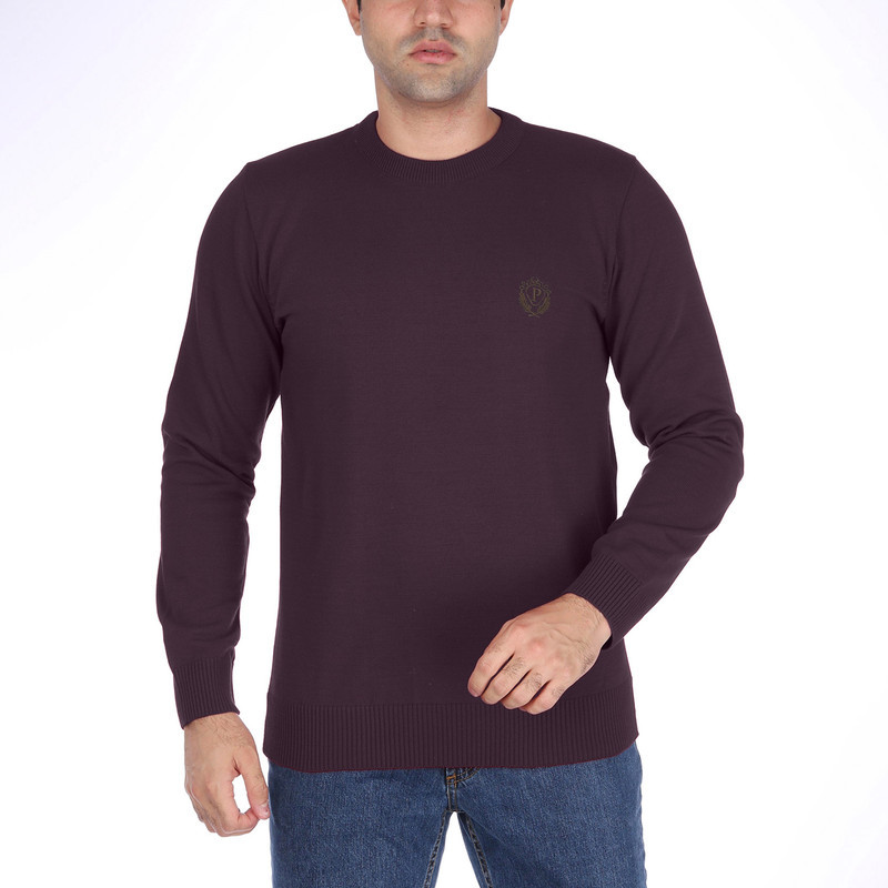 پلیور یقه گرد مردانه تریکو پاییزان مدل  PR700