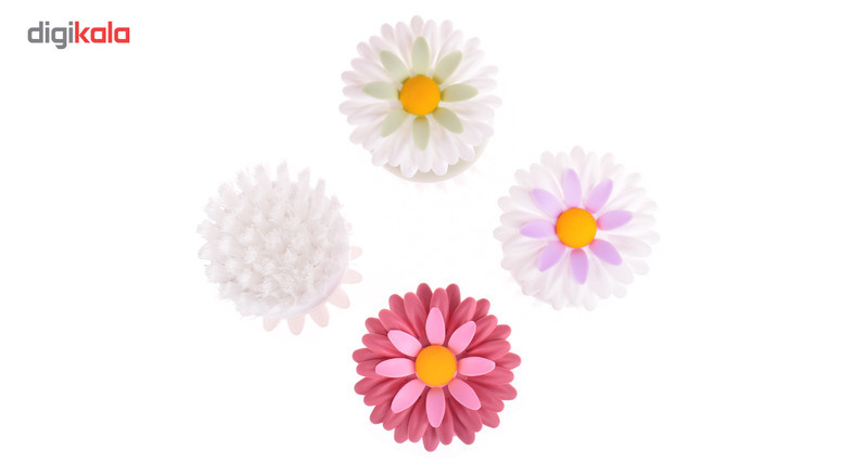 میوه شور مدل flower
