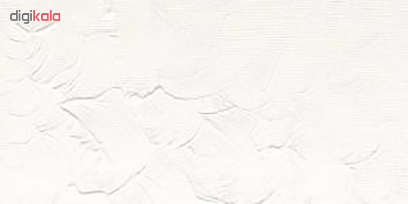 رنگ روغن وینزور اند نیوتون مدل TITANIUM WHITE 40 حجم 37 میلی لیتر