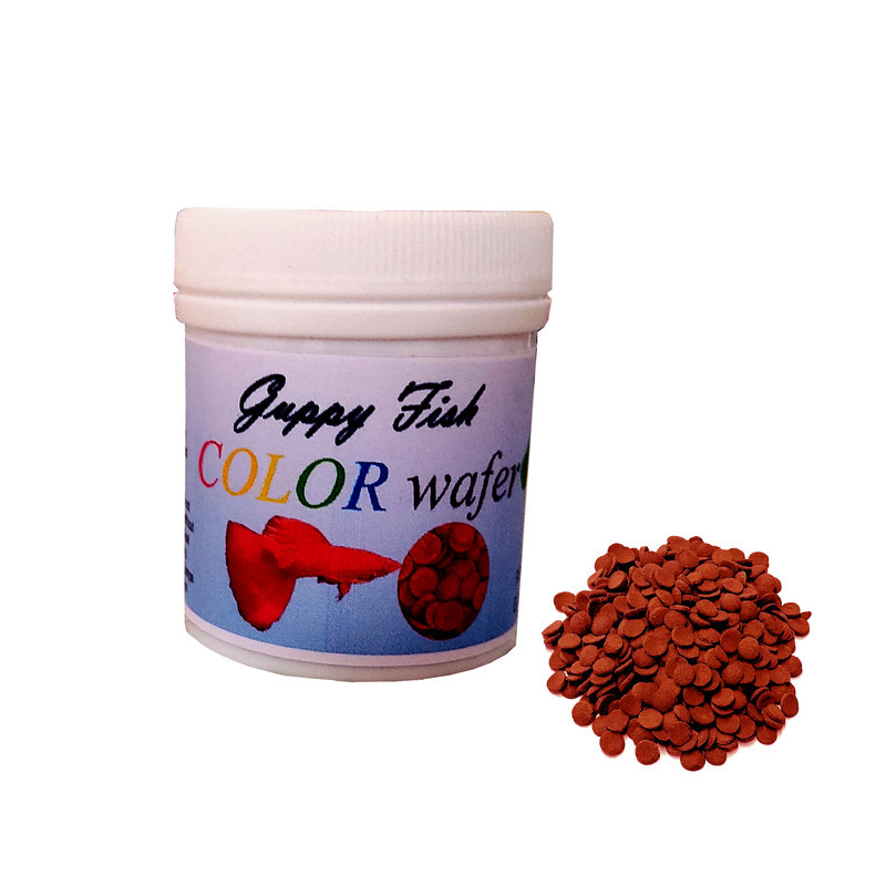 غذای ماهی گوپی مدل spirulina protein وزن 150 گرم بسته 3 عددی