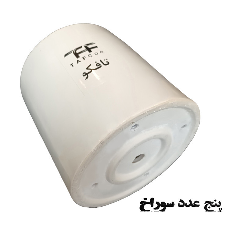 گیاه طبیعی نخل ماداگاسکار تافکو کد 2038