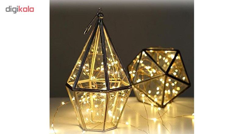 ریسه ال ای دی مفتولی کد 50LED طول 5 متر