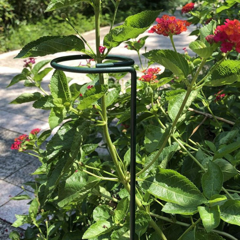 نگهدارنده مدل قیم گل مجموعه 4 عددی