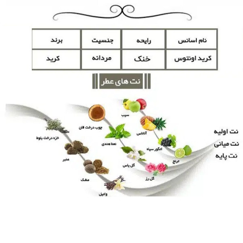 ادو پرفیوم مردانه ایفوریا مدل اونتیوس با رایحه تلخ حجم 100 میلی لیتر