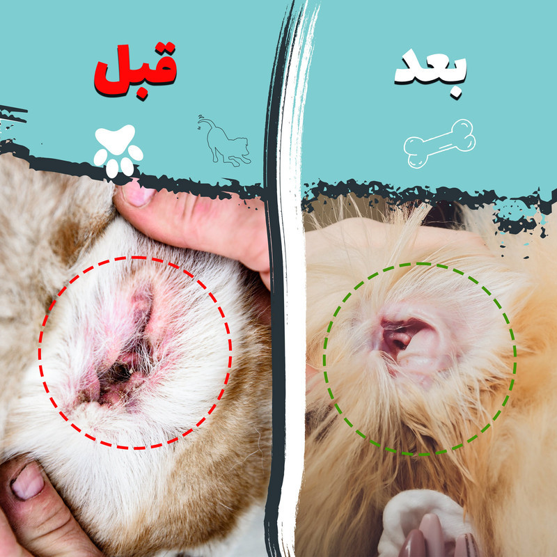 دستمال مرطوب سگ و گربه مخصوص گوش و اطراف چشم کوالاپت مدل  Wipes03 بسته دو عددی