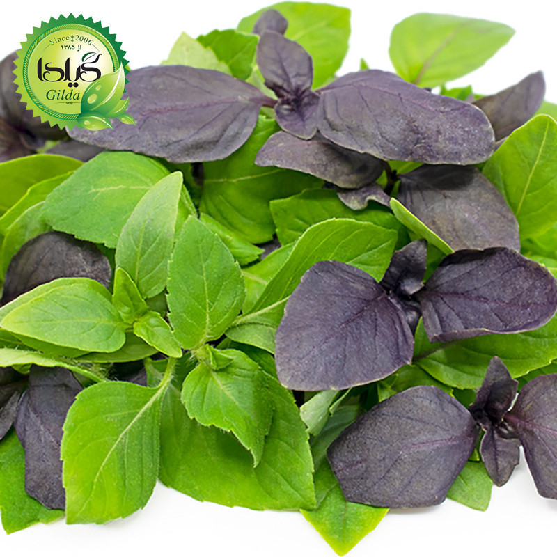 بذر ریحان میکس گیلدا کد 109