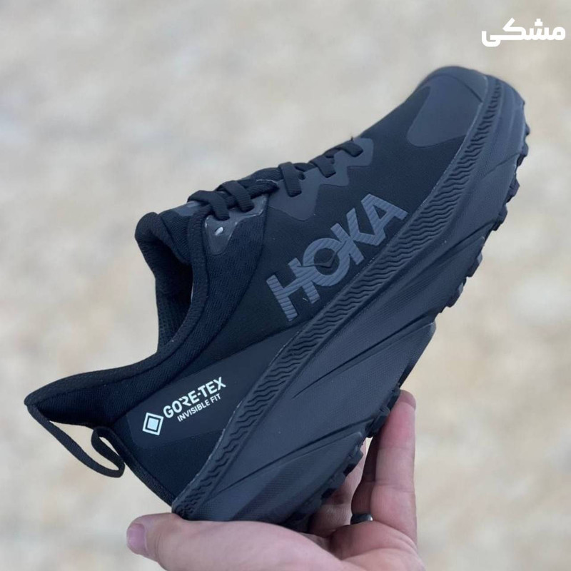 کفش پیاده روی مردانه هوکا مدل challenger goretex